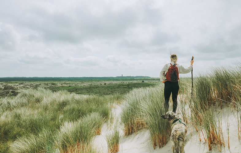 Fiets- en Wandelbeurs 2026