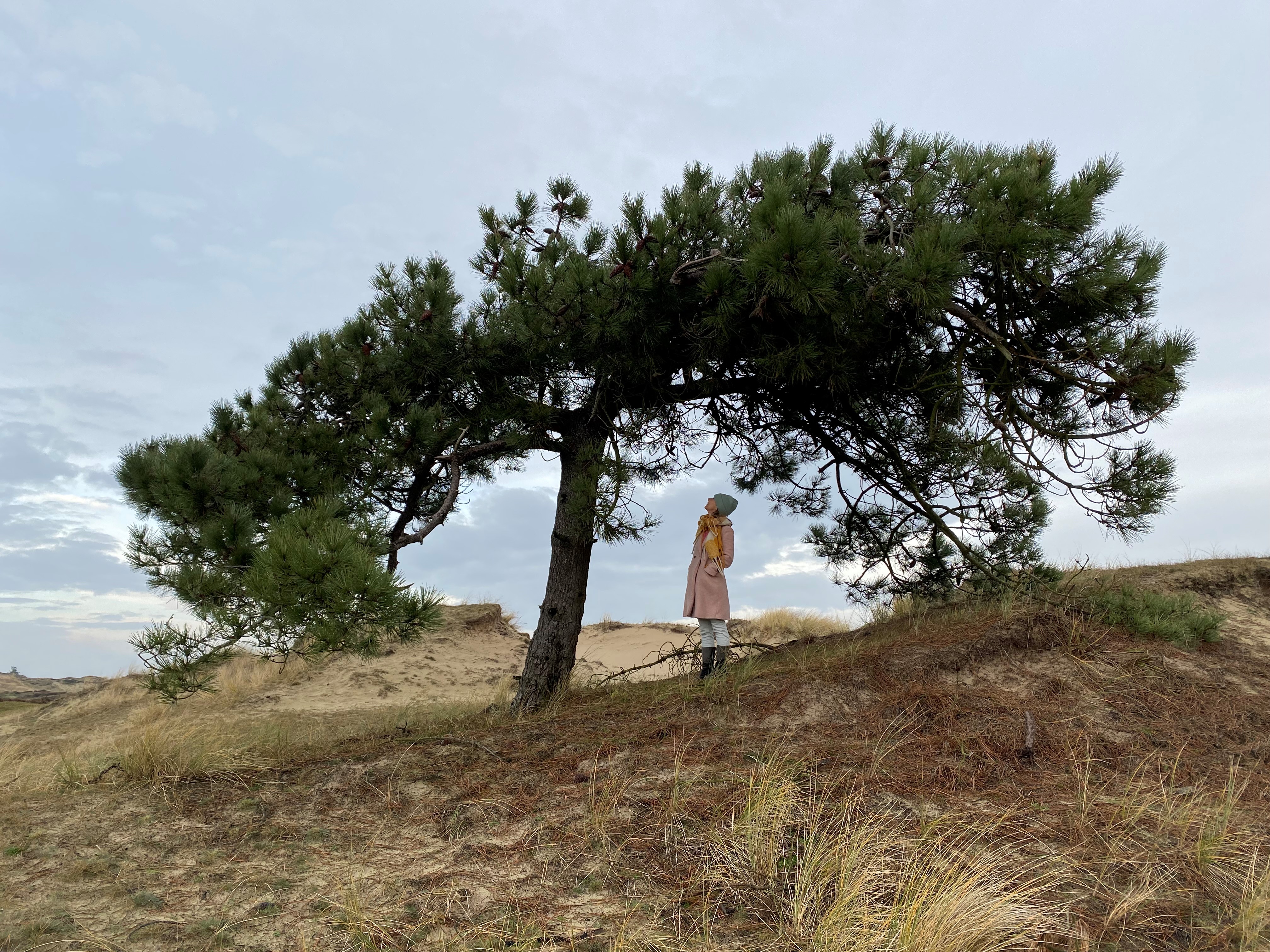 Terschelling Magazine