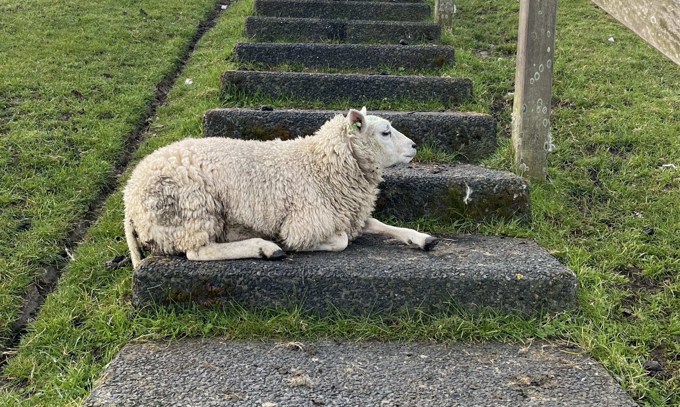 Verhaal van: Een boost in mijn herstel