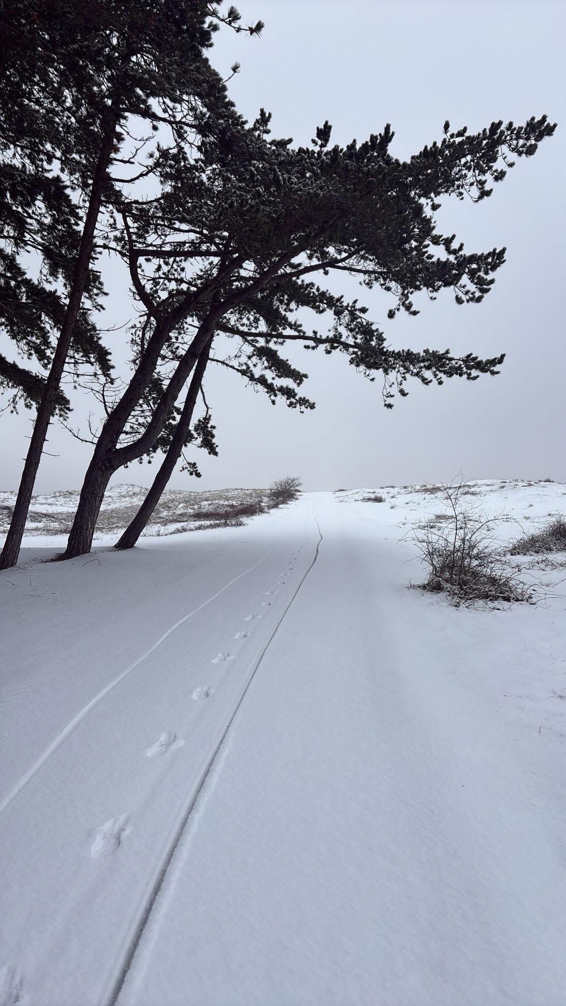 Verhaal van: Levend tussen twee waarheden