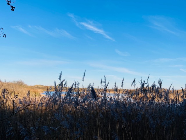 Verhaal van: Mooie inzichten