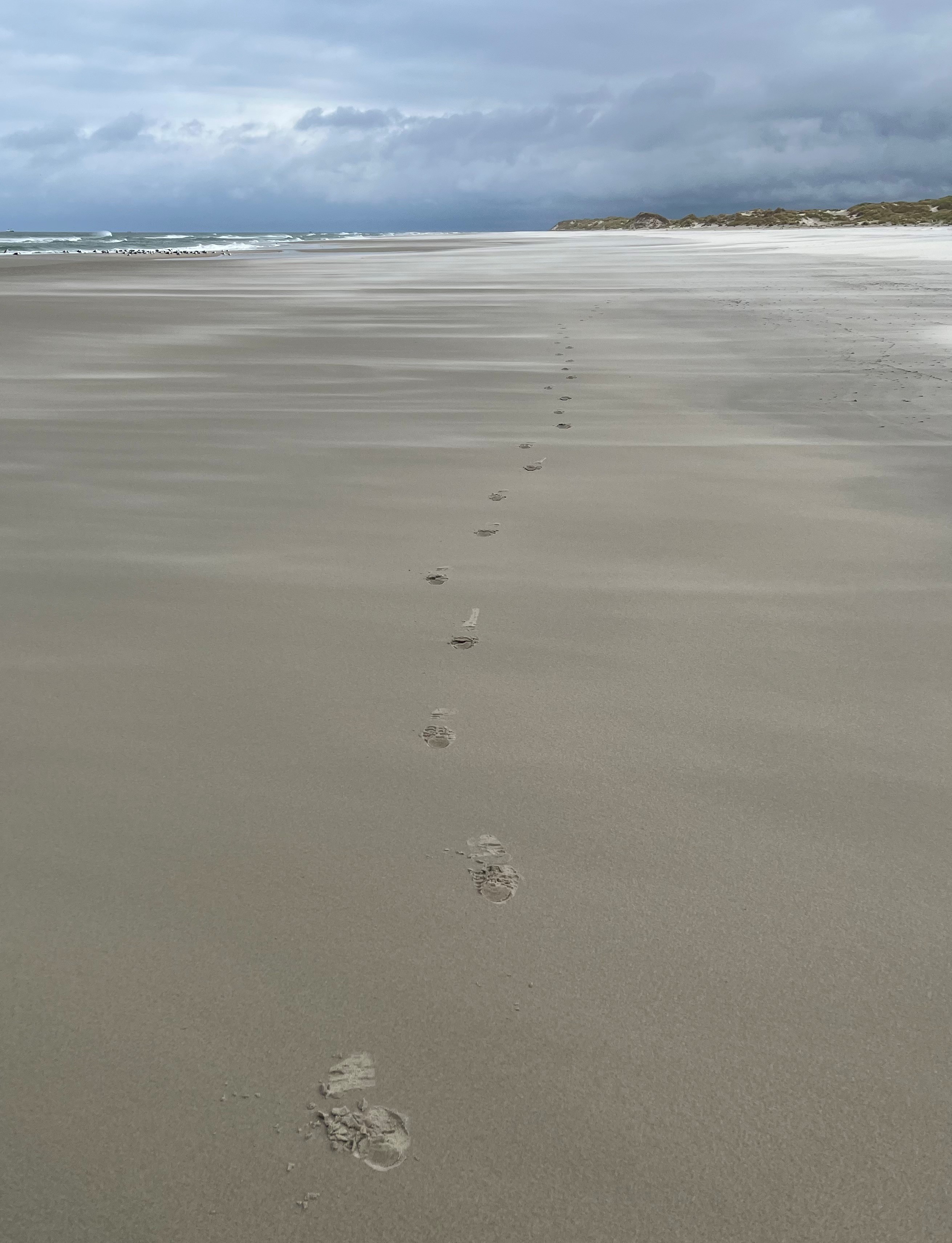 Verhaal van: Eén spoor in het zand