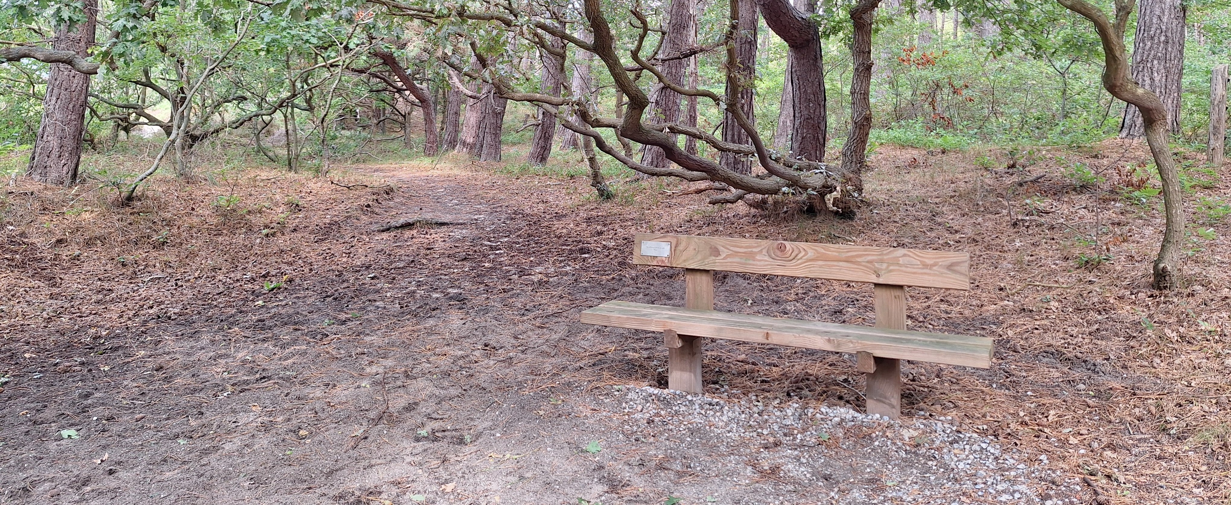 Verhaal van: Bert op het bankje