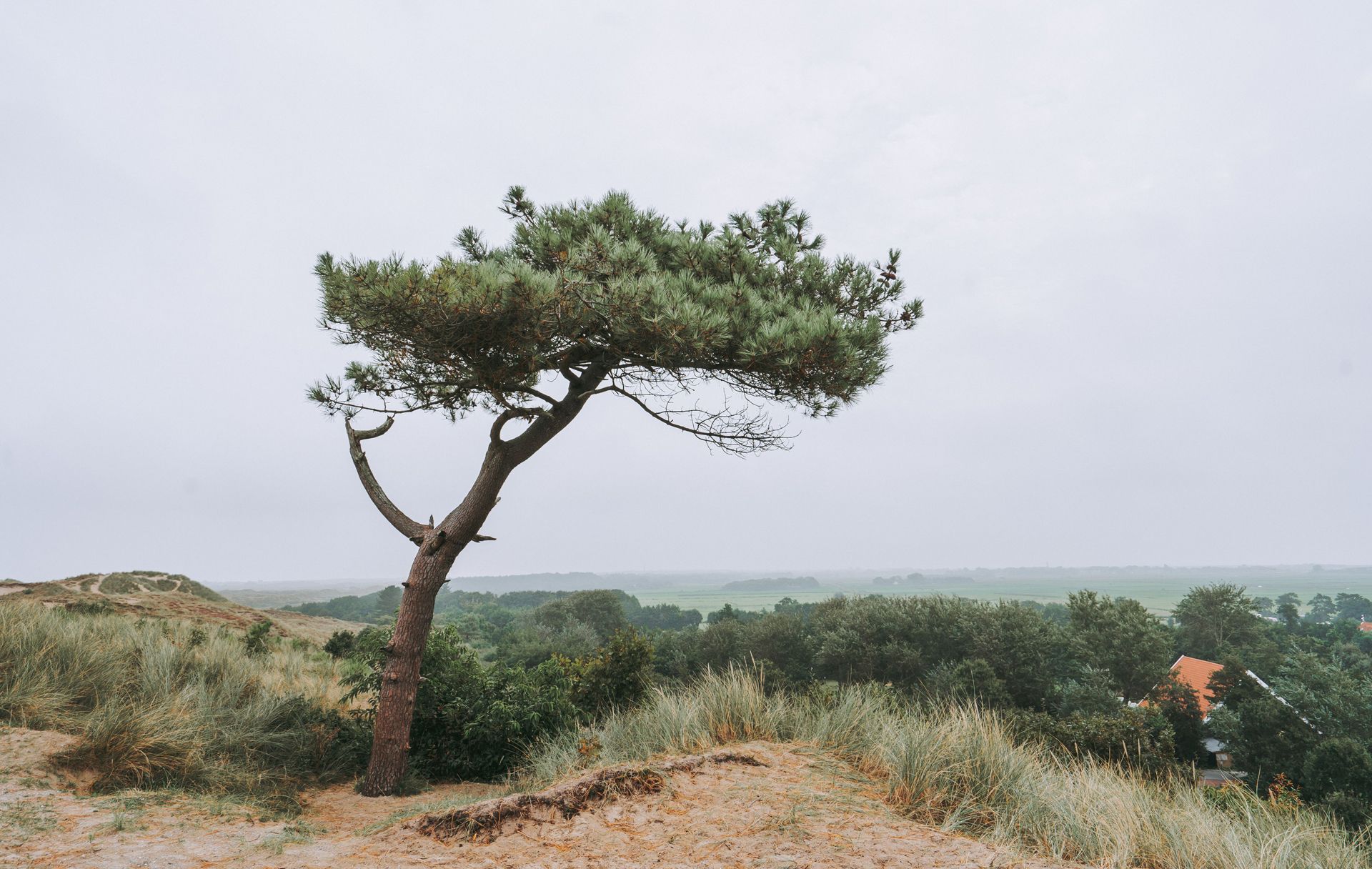 Etappe 1 | Van West-Terschelling naar Midsland