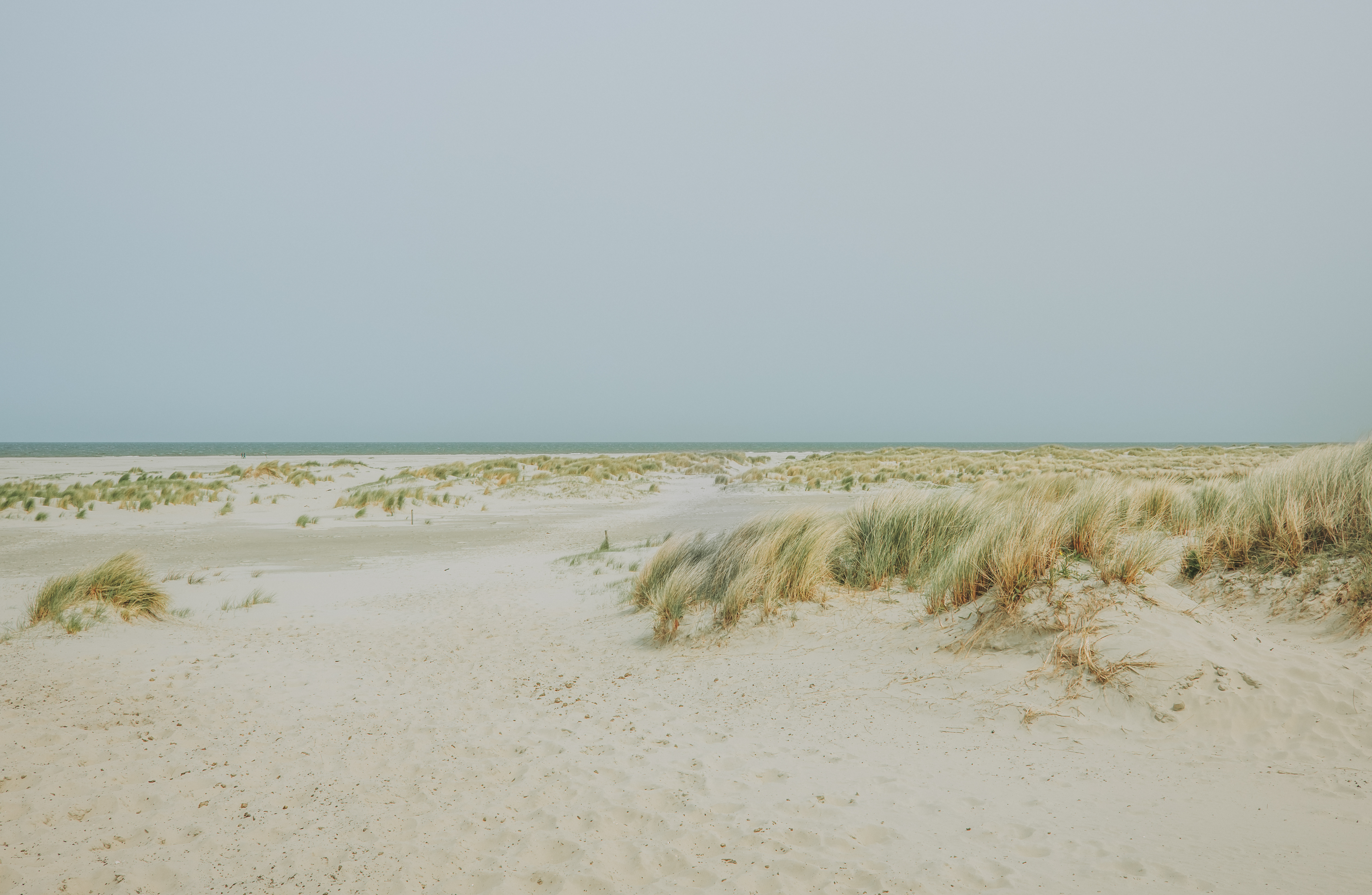 Verhaal van: In de verte mompelt onophoudelijk de branding van de zee