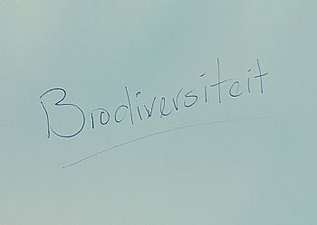 Wall of Grief 133